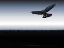 Fonts zum downloaden